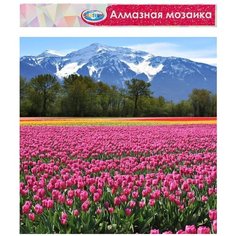 CENTRUM Набор алмазной вышивки Горный пейзаж, 87227, 40х50 см