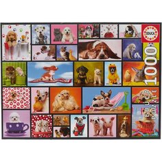 Пазл Educa Приятные моменты (15518), 1000 дет.