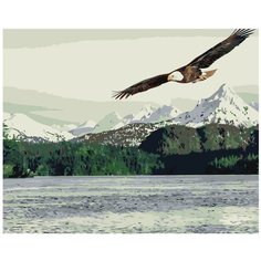 Картина по номерам, "Живопись по номерам", 48 x 60, Z-AB424