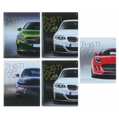 Тетради 48 листов "машина моей мечты" Набор 5 шт. Цена за 5 штук. Альт