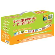 Подарочный набор обучающих карточек Вундеркинд с пеленок "Мегачемодан" + набор "Грибы" + книга, 320 карточек Домана, мега чемодан