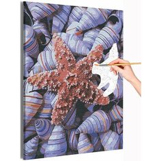 Ракушки / Море / Морская тема Раскраска картина по номерам на холсте 30х40