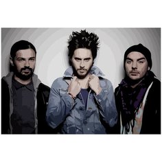 Картина по номерам на холсте 30 seconds to mars - 4