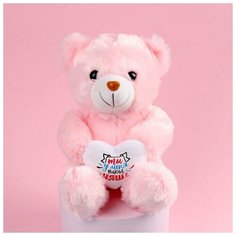 Мягкая игрушка "Ты у меня такая няша", 25 см, микс (1 шт.) Pro Market