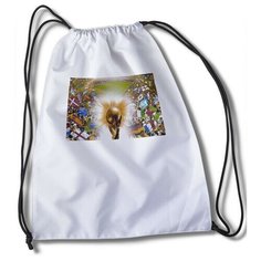 Мешок для сменной обуви Игры 2010 FIFA World Cup South Africa ps, xbox, pc - 33261 Brut Bag