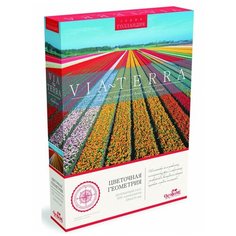 Пазл. Виа Терра. Цветочная геометрия. 500 элементов, Origami