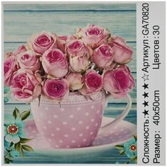 Алмазная мозаика 40*50 на подрамнике GA70820