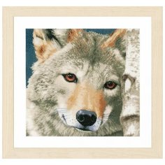 Набор для вышивания "Wolf" Lanarte