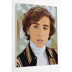 Картина по номерам на стену "Тимоти Шаламе" Раскрасим сами