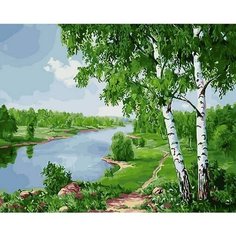 Картина по номерам Одинокие березки 40х50 см 000 Art Hobby Home