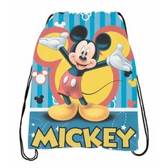 Мешок для обуви Mickey Mouse, Микки Маус №26 Anima Shop