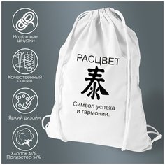 Сумка для обуви CoolPodarok расцвет фен шуй