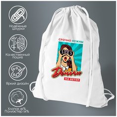 Сумка для обуви CoolPodarok Прикол. Срочно нужны деньги на ветер