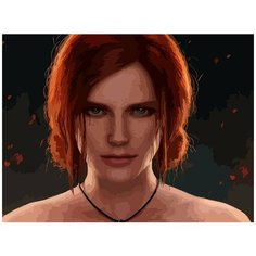 Картина по номерам на холсте игра Ведьмак Геральт Трисс - 6737 Г 30x40