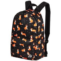 Рюкзак / ранец / портфель школьный/для мальчика / девочки Brauberg Positive универсальный, потайной карман, Sly foxes, 42х28х14 см