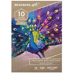 Альбом BRAUBERG 105916, комплект 5 шт.