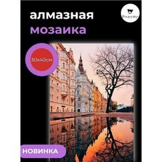 Алмазная мозаика/Живопись/Картина стразами "Городская тишина" 30х40 см Барубу