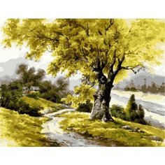 Картина по номерам Тропинка 40х50 см Hobby Home