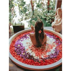 Картина по номерам Ванна с цветочными лепестками 40х50 см Hobby Home