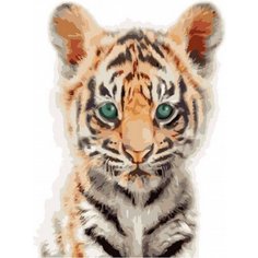 Картина по номерам Тигрёнок 40х50 см Hobby Home
