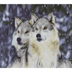 Картина по номерам Пристальные взгляды 40х50 см Hobby Home