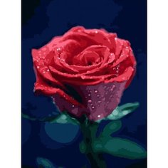 Картина по номерам Красота розы 40х50 см Hobby Home