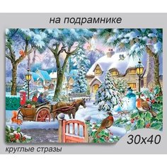 Алмазная мозаика на подрамнике 30*40 см Rremdes