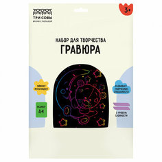 Гравюра с мультицветной основой ТРИ совы "Мишка в космосе" А4 1 шт