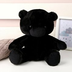 Мягкая игрушка "Мишка", 25 см, цвет черный Нет бренда