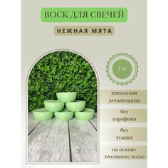Воск для свечей / Нежная мята / 1 кг Hobbyscience.Ru
