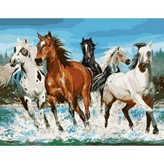 Картина по номерам Купание коня 40х50 см АртТойс