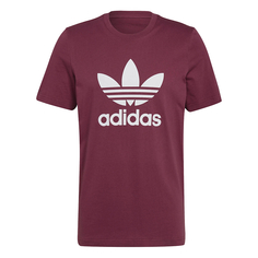 Мужская футболка Trefoil T-Shirt Adidas