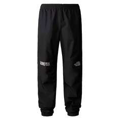 Мужские брюки Gore-Tex Mountain Pant The North Face