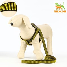Комплект амуниции рельефный, 2 см, шлейка 44-50 см, поводок 120 см, желто-черный Пижон