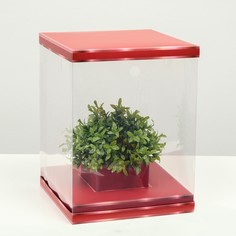 Коробка для цветов с вазой и pvc окнами складная, красный, 23 х 30 х 23 см Upak Land