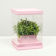 Коробка для цветов с вазой и pvc окнами складная, розовый, 16 х 23 х 16 см Upak Land