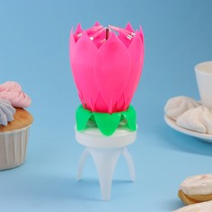 Свеча для торта музыкальная Страна Карнавалия