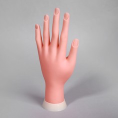 Рука тренировочная для маникюра, с гнущимися пальцами, в картонной коробке, цвет бежевый Queen Fair