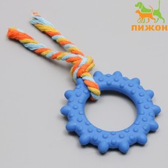 Игрушка для собак жевательная с канатом Пижон