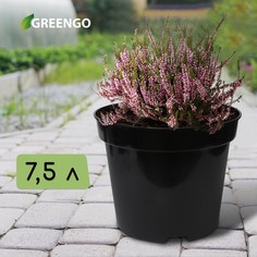 Горшок для рассады, 7.5 л, d = 26 см, h = 26 см, черный, greengo