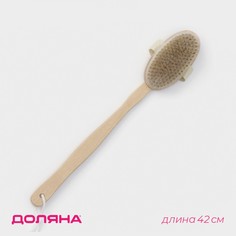 Щетка массажная для тела доляна, с ручкой, натуральная щетина No Brand