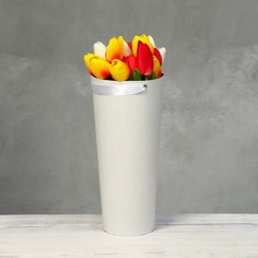 Переноска конус под цветы, белый 10 х 14 х 30 см No Brand