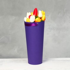 Переноска конус под цветы, фиолетовый 10 х 14 х 30 см No Brand