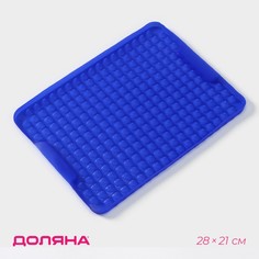 Силиконовый коврик-антижир доляна, 28×21 см, цвет синий