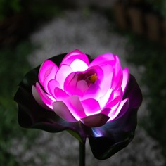 Садовый светильник на солнечной батарее Luazon Lighting