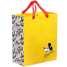 Пакет ламинированный вертикальный, 23 х 27 х 11 см Disney