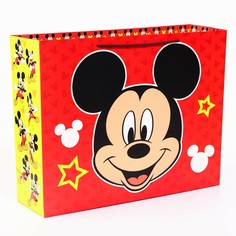 Пакет ламинированный горизонтальный, 50 х 40 х 15 см Disney