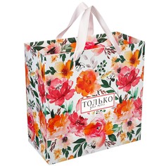 Пакет ламинированный, 22 х 22 х 11 см Disney