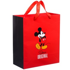 Пакет ламинированный вертикальный, 23 х 27 х 11 см Disney