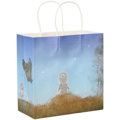 Пакет крафтовый, подарочный, 22х22х11 см, ежик в тумане Союзмультфильм